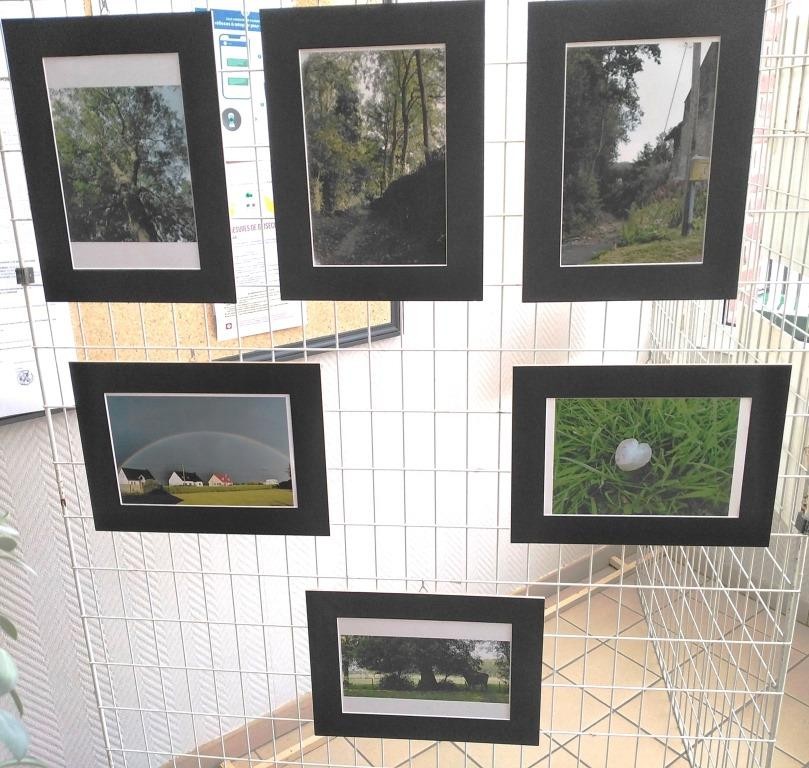 Concours photos 2020 1 1